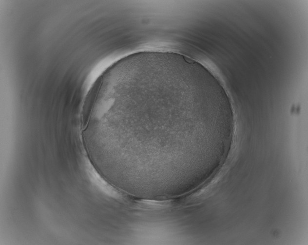 X0000113601344200910021732