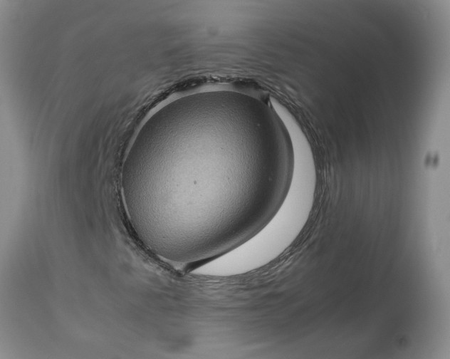 X0000113601345200910021731