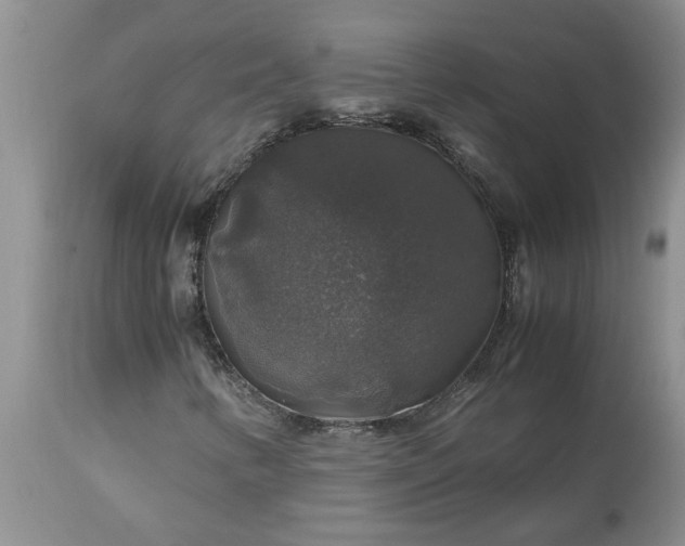 X0000113601346200910021731