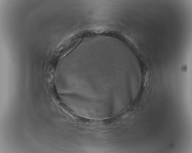 X0000113601349200910021731