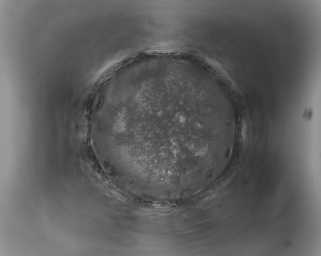 X0000113601350200910021731