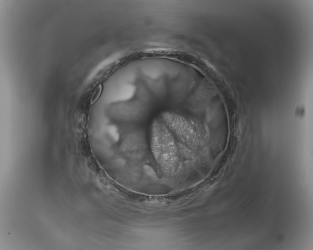 X0000113601351200910021731