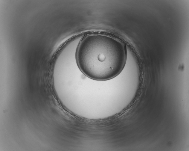 X0000113601352200910021731