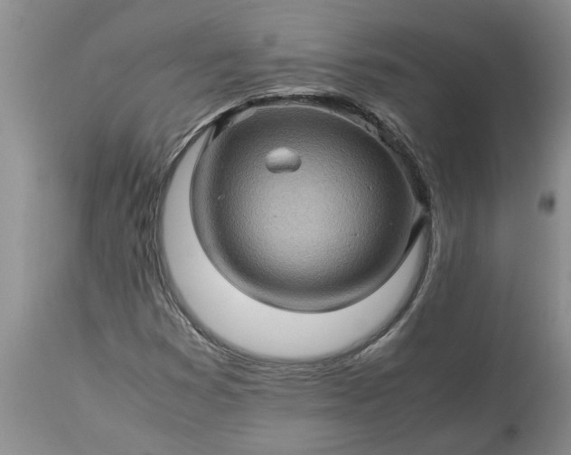 X0000113601353200910021731