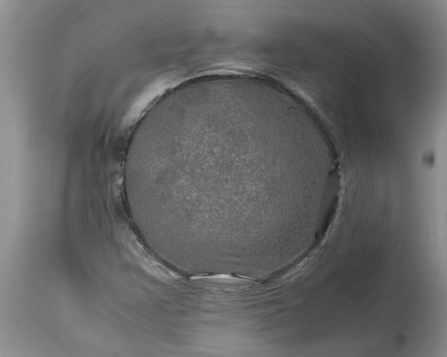 X0000113601355200910021731