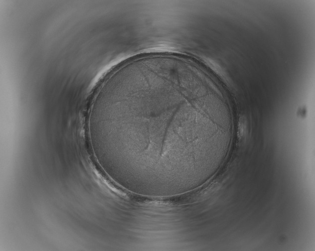 X0000113601356200910021731