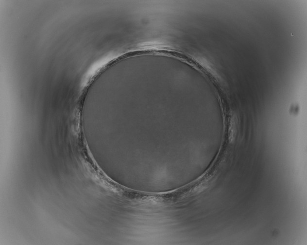 X0000113601358200910021731