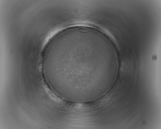 X0000113601360200910021731