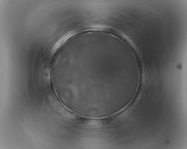 X0000113601362200910021731