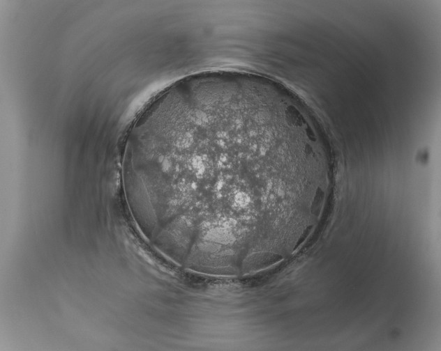 X0000113601363200910021731