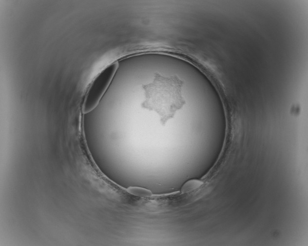 X0000113601365200910021731