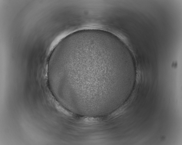 X0000113601366200910021731