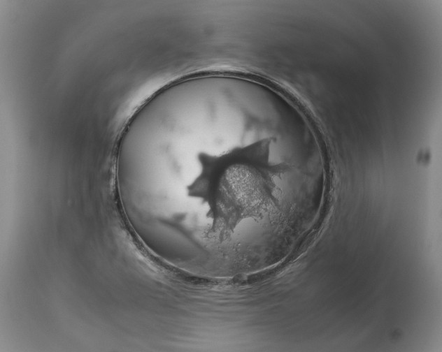 X0000113601367200910021731