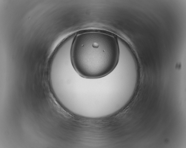 X0000113601368200910021731