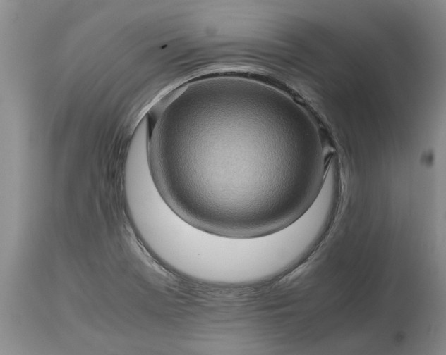 X0000113601369200910021731