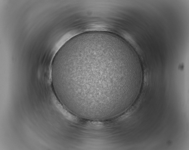 X0000113601370200910021731