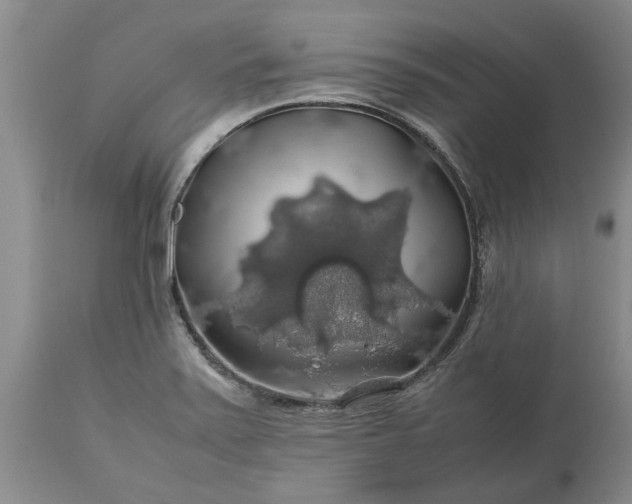 X0000113601371200910021731