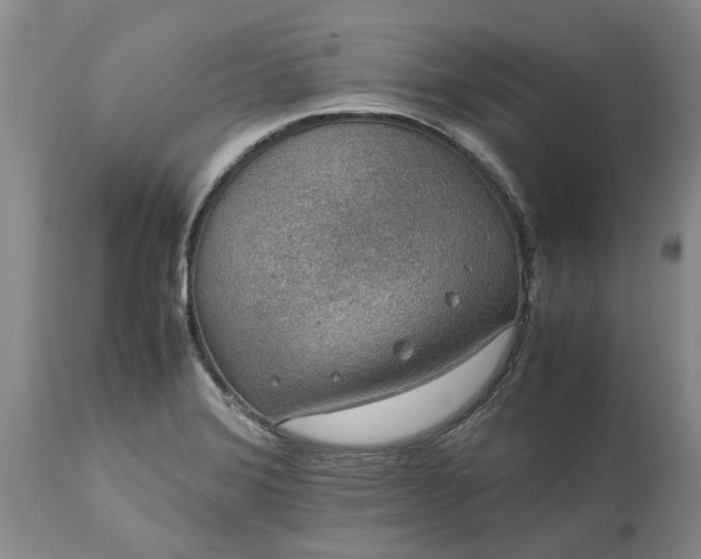 X0000113601372200910021731