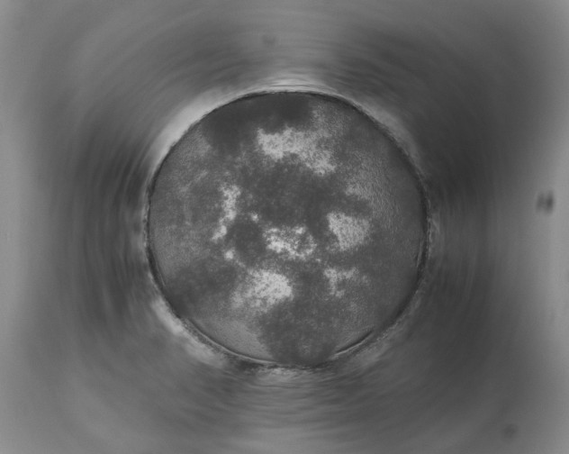 X0000113601374200910021731