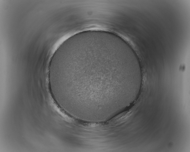 X0000113601375200910021731