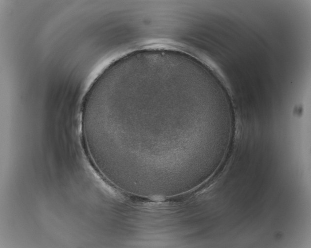 X0000113601376200910021731