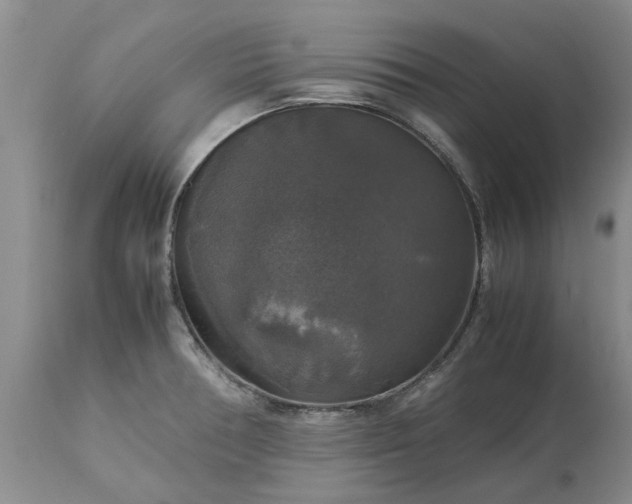 X0000113601378200910021731