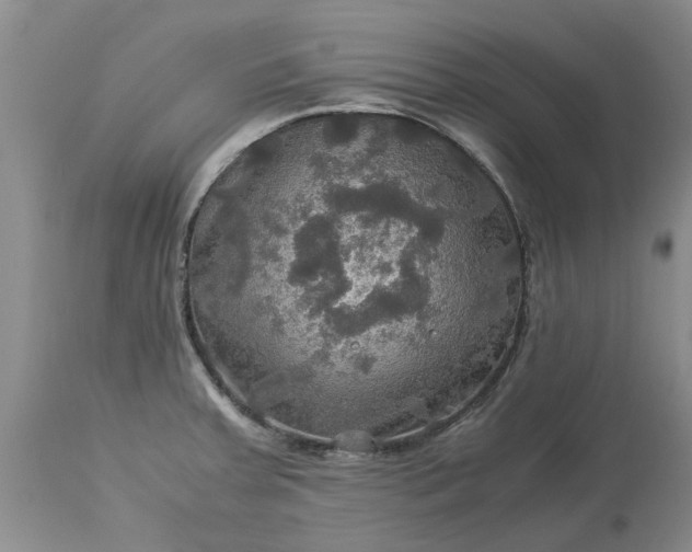 X0000113601379200910021731