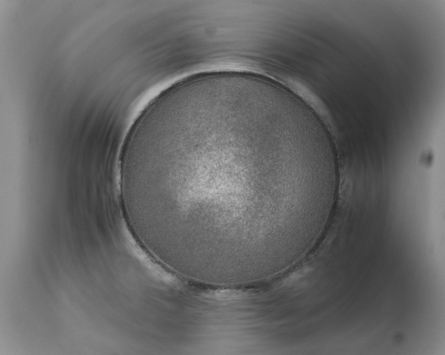 X0000113601380200910021731