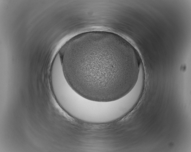 X0000113601381200910021731