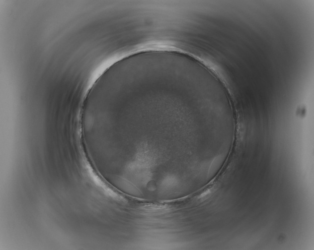 X0000113601382200910021731