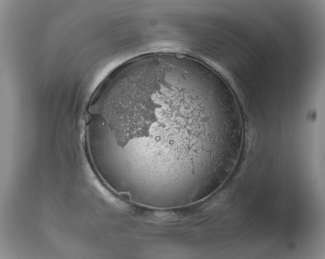 X0000113601383200910021731