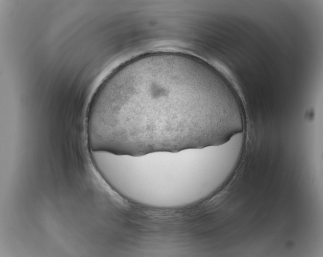 X0000113601384200910021731