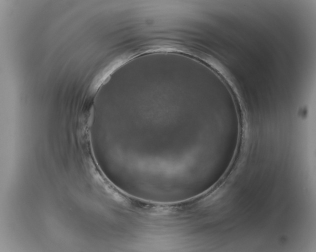 X0000113601385200910021731