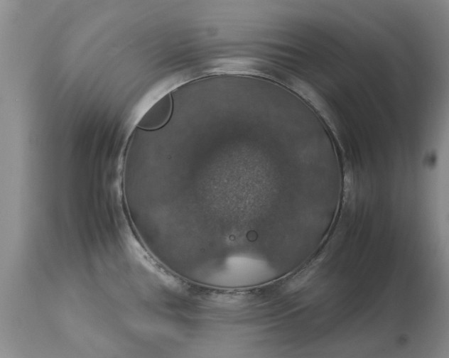 X0000113601386200910021731