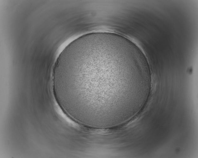 X0000113601387200910021731