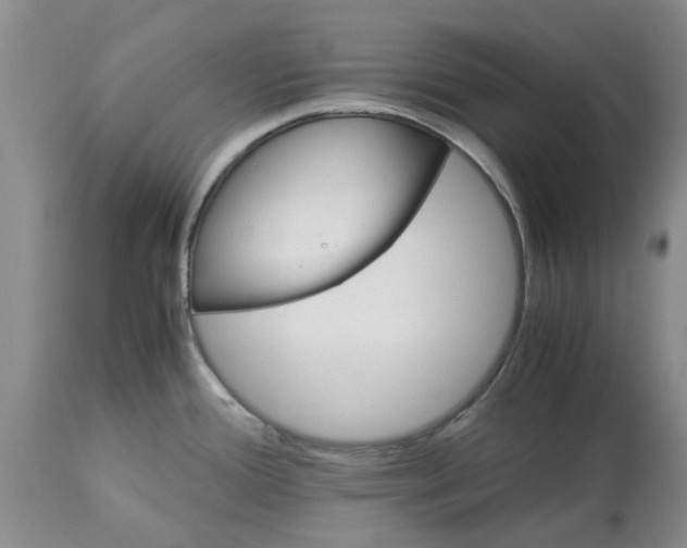 X0000113601388200910021731