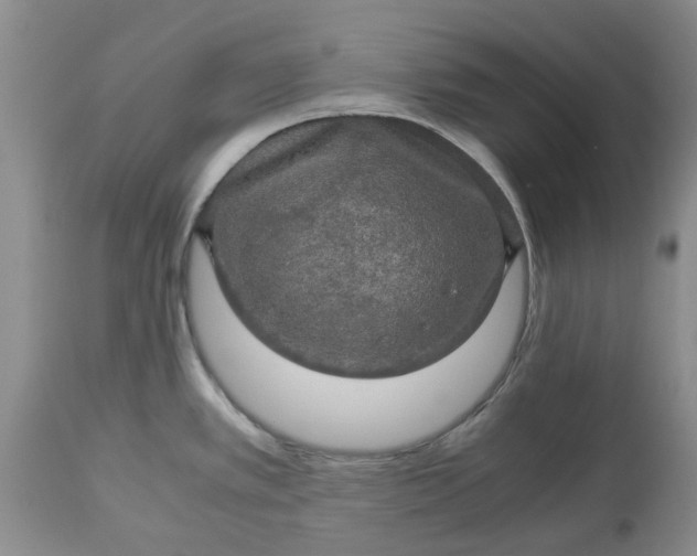 X0000113601389200910021731