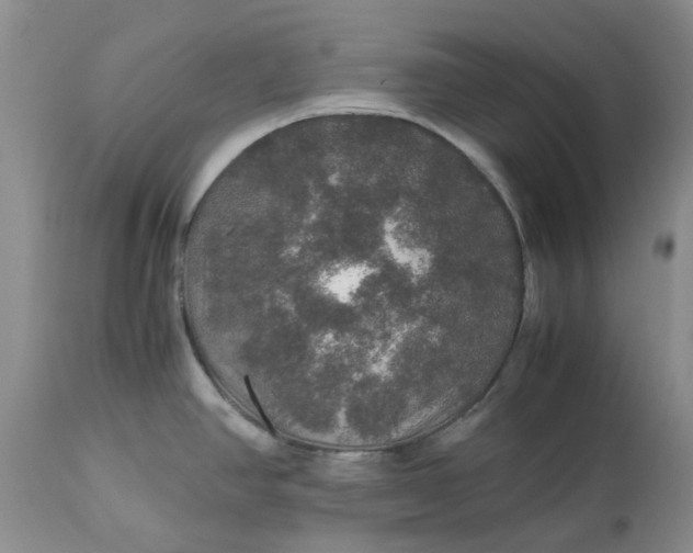 X0000113601390200910021731