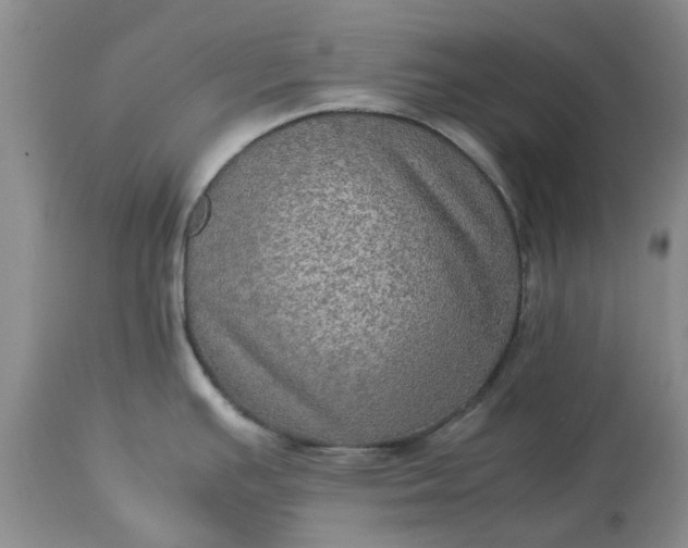 X0000113601391200910021730