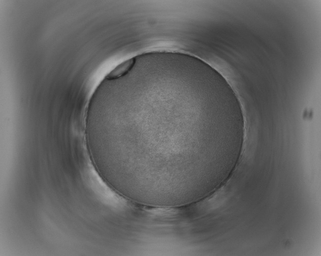 X0000113601392200910021730