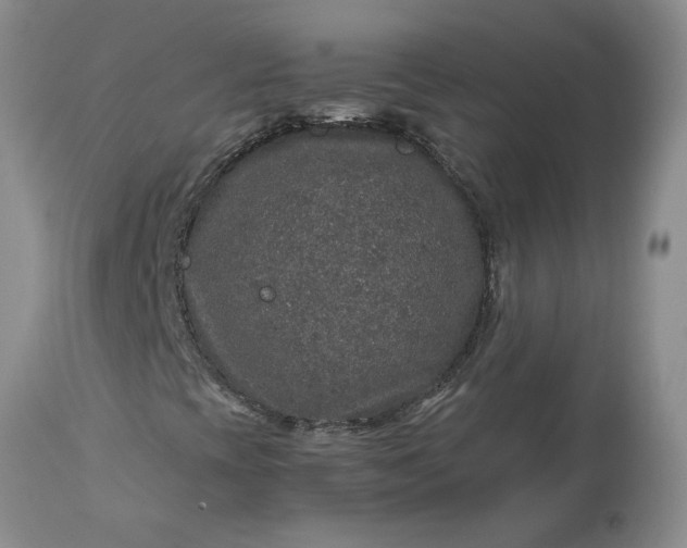 X0000113601393200910021730