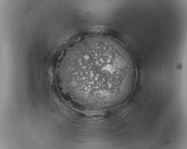 X0000113601394200910021730