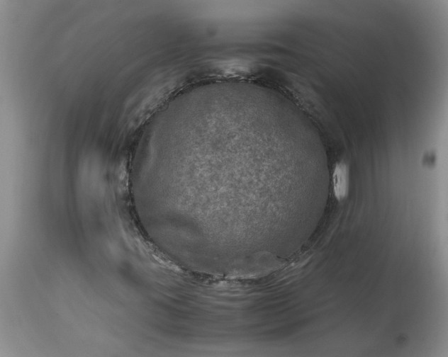 X0000113601395200910021730