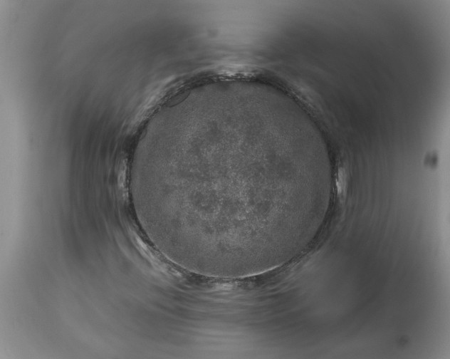 X0000113601396200910021730