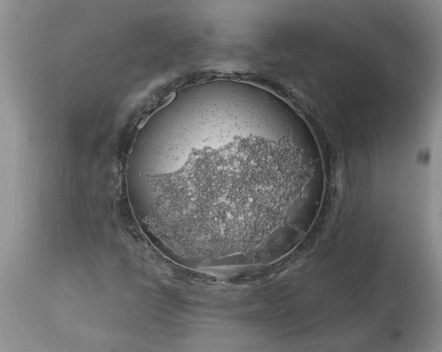 X0000113601398200910021730