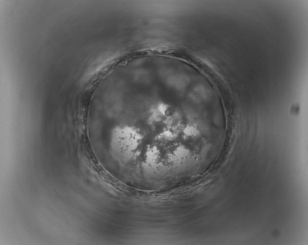 X0000113601399200910021730