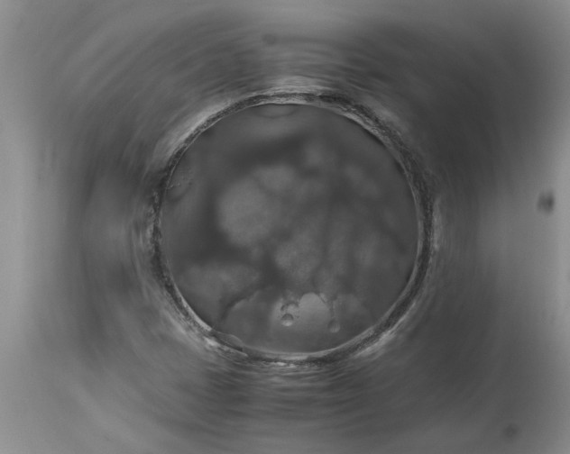 X0000113601401200910021730