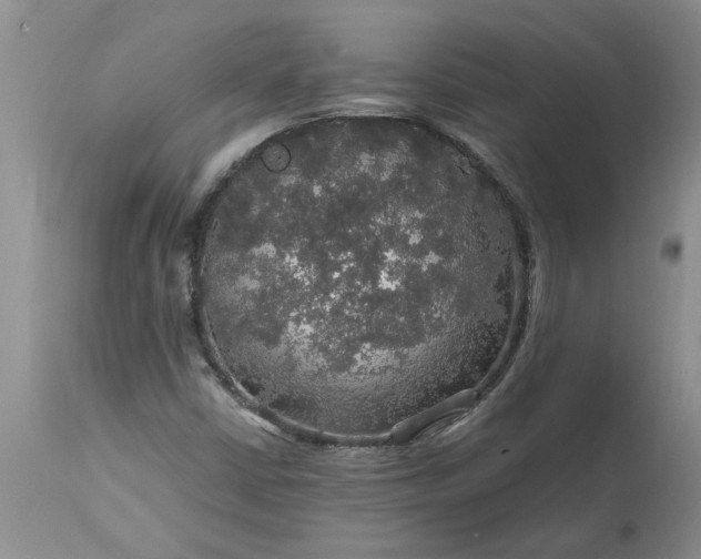 X0000113601402200910021730