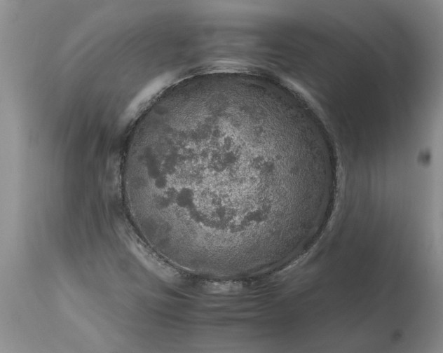 X0000113601403200910021730