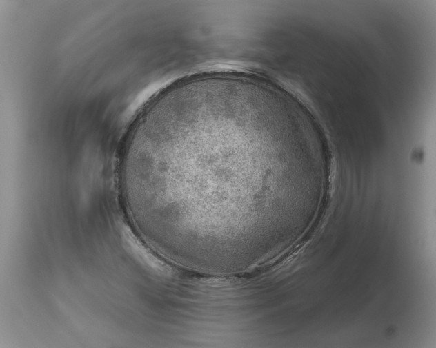 X0000113601404200910021730